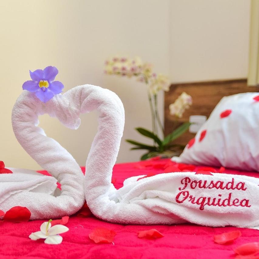Hostel Orquidea Paraty